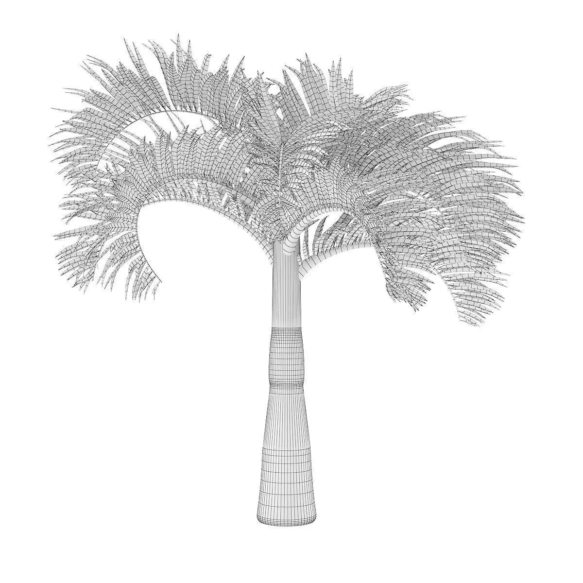 Christmas Palm Tree 3D model_4
