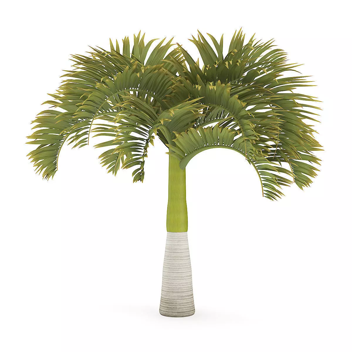 Christmas Palm Tree 3D model_3