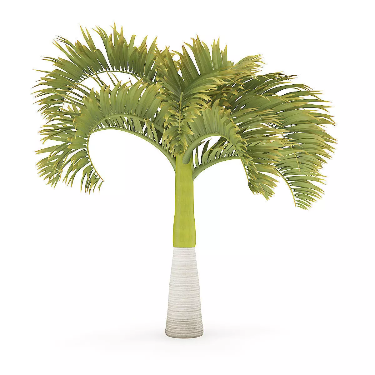 Christmas Palm Tree 3D model_1