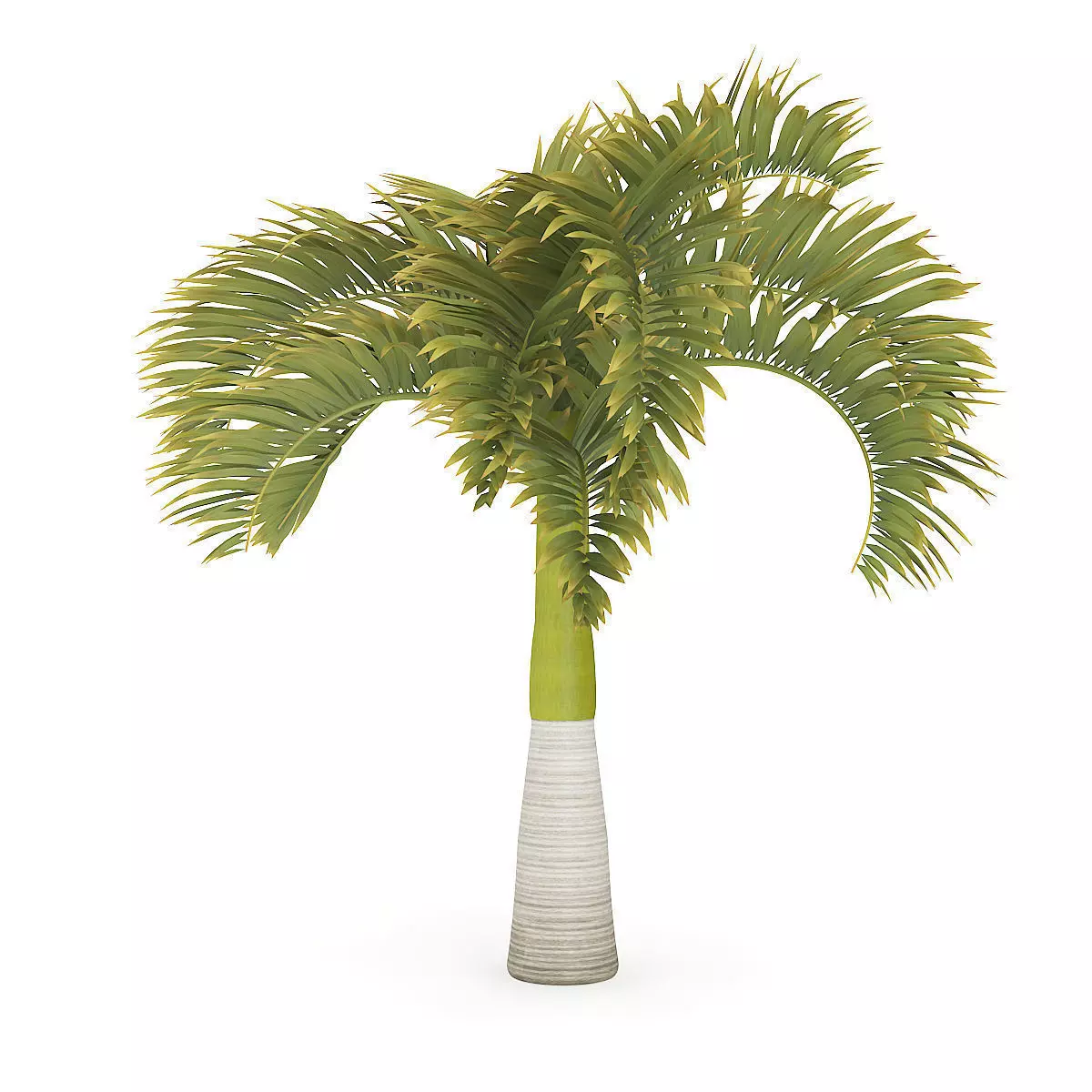 Christmas Palm Tree 3D model_0