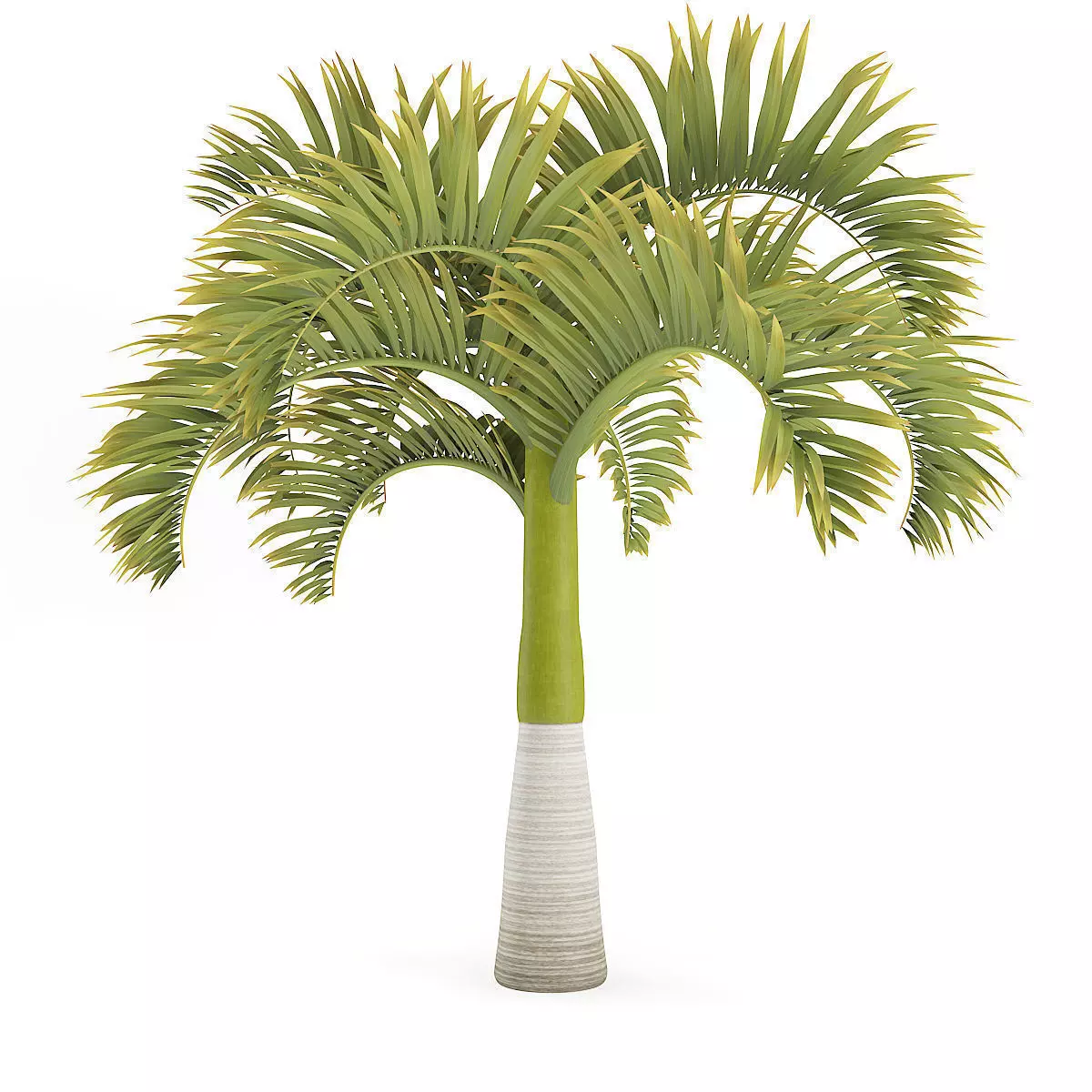 Christmas Palm Tree 3D model_5