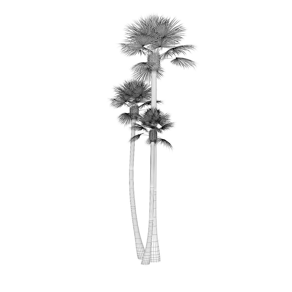 Three Palm Trees 3D model_7