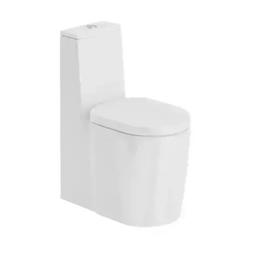 Standing Toilet