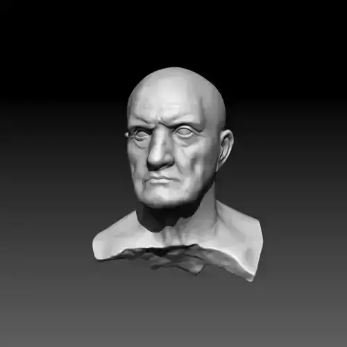 Bust of Man