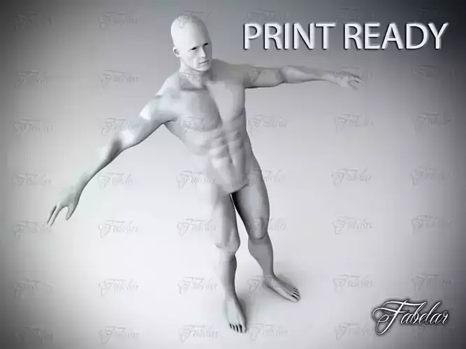 Male Body Printable 3D print model