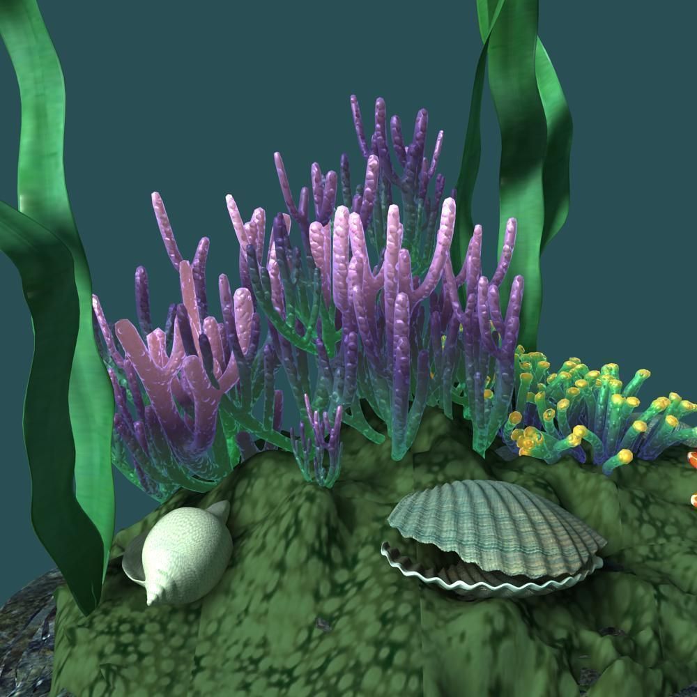 Coral rock with seaweed and starfish 3D model_6