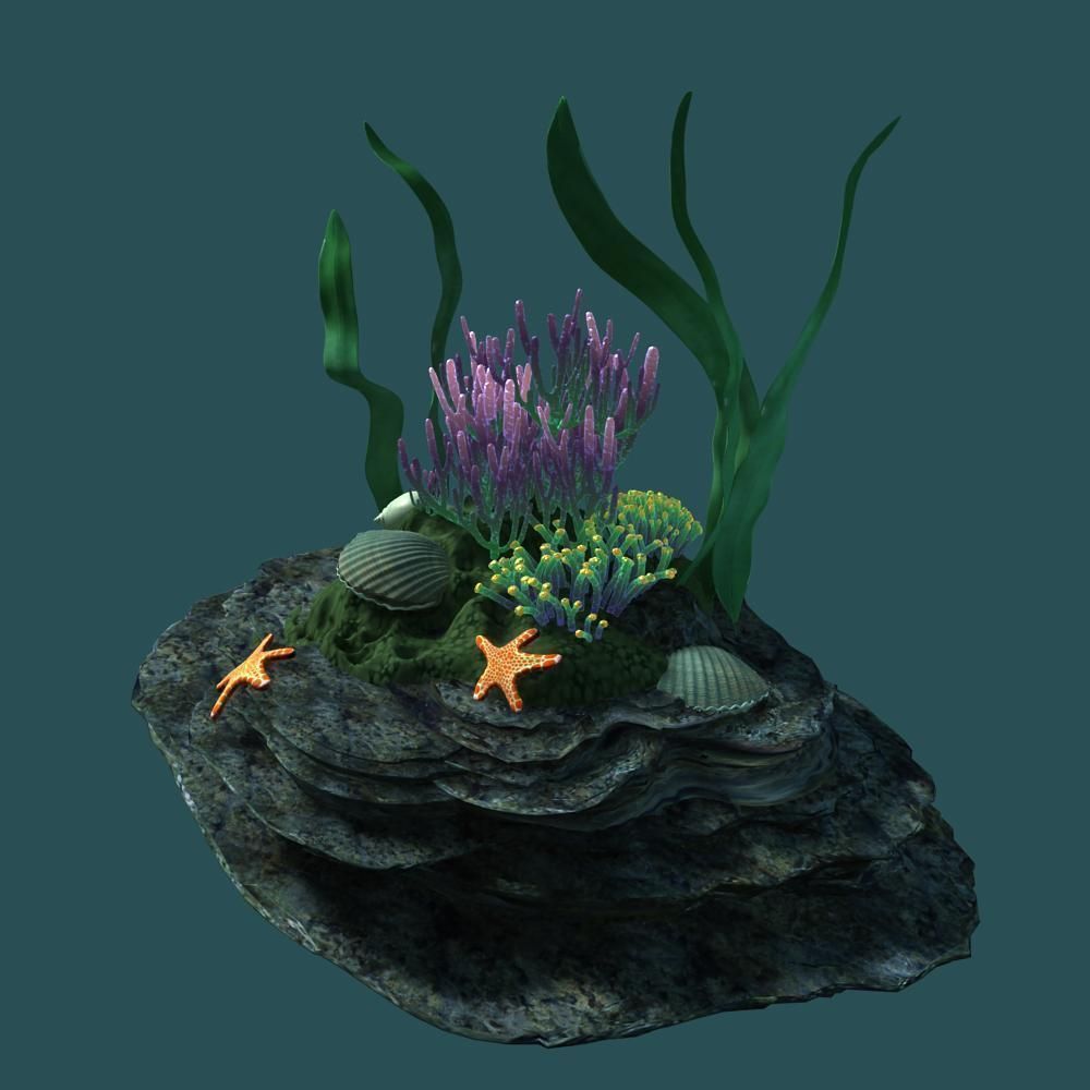 Coral rock with seaweed and starfish 3D model_4