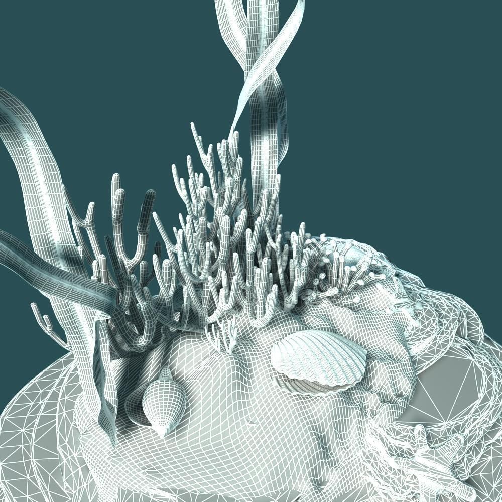 Coral rock with seaweed and starfish 3D model_13