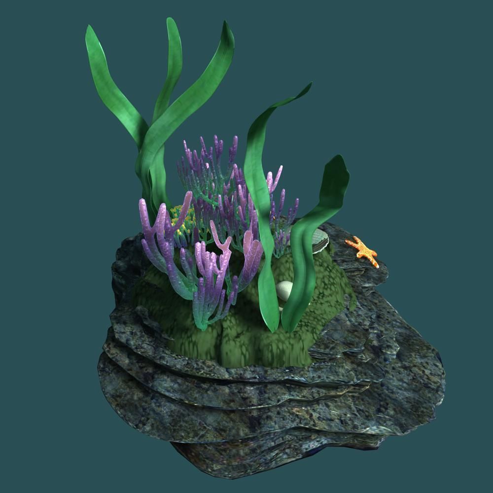 Coral rock with seaweed and starfish 3D model_7