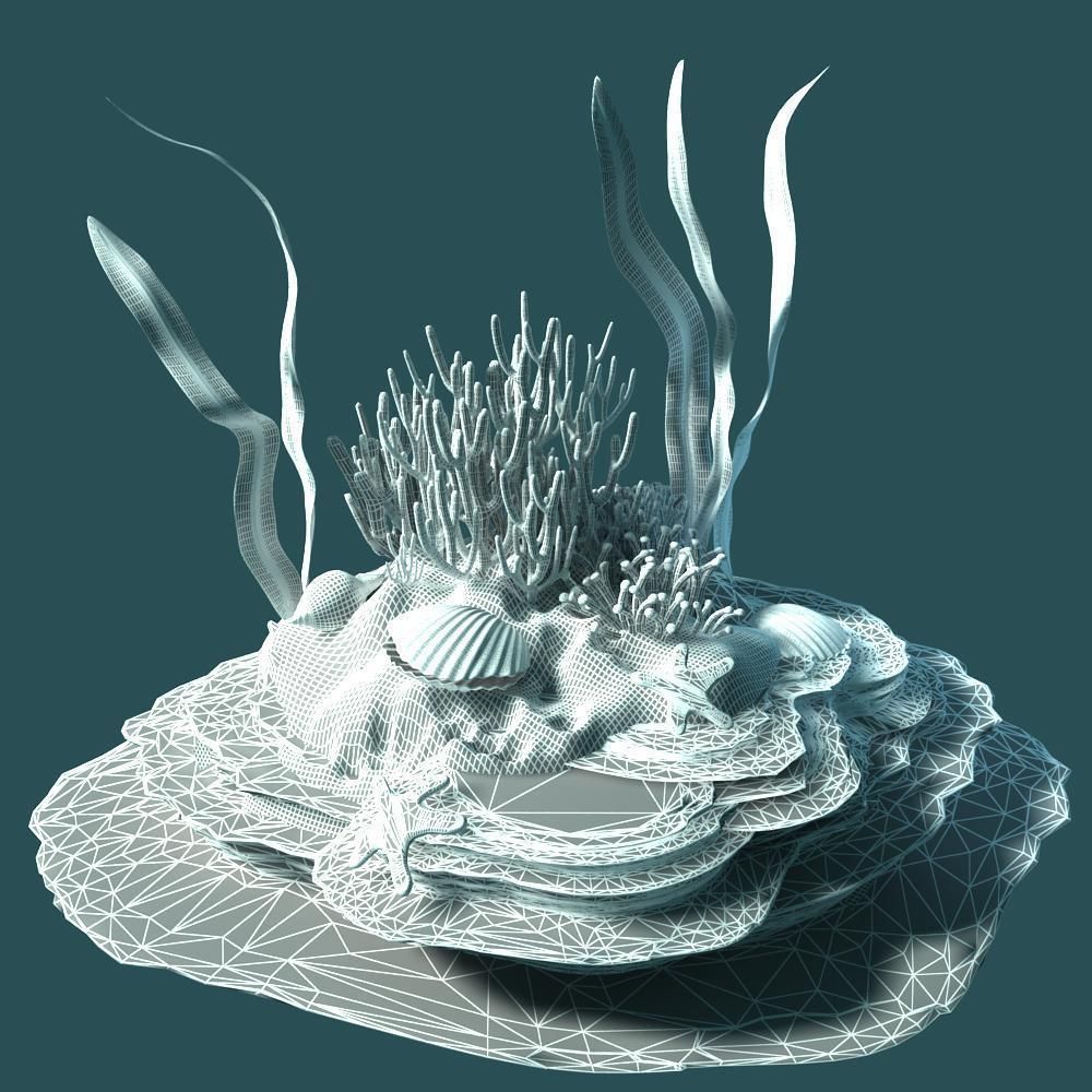 Coral rock with seaweed and starfish 3D model_10