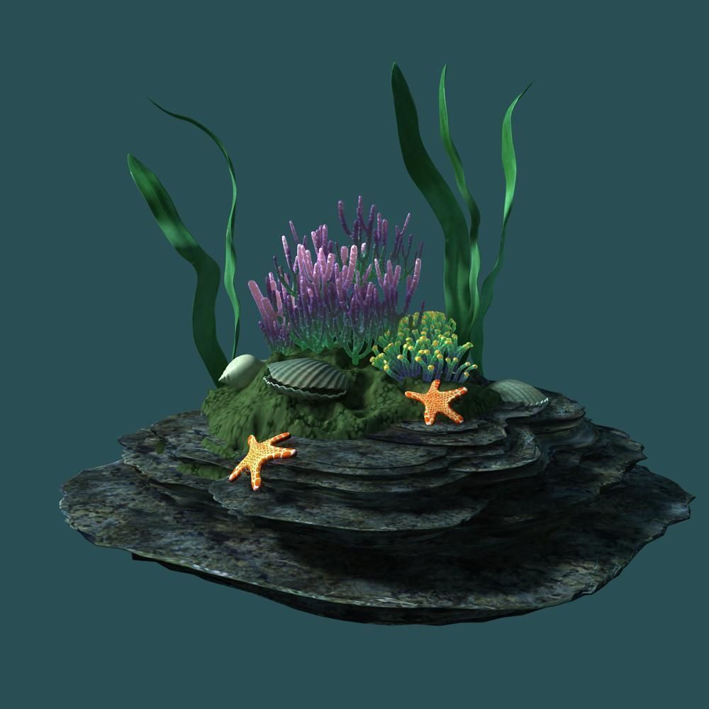 Coral rock with seaweed and starfish 3D model_2
