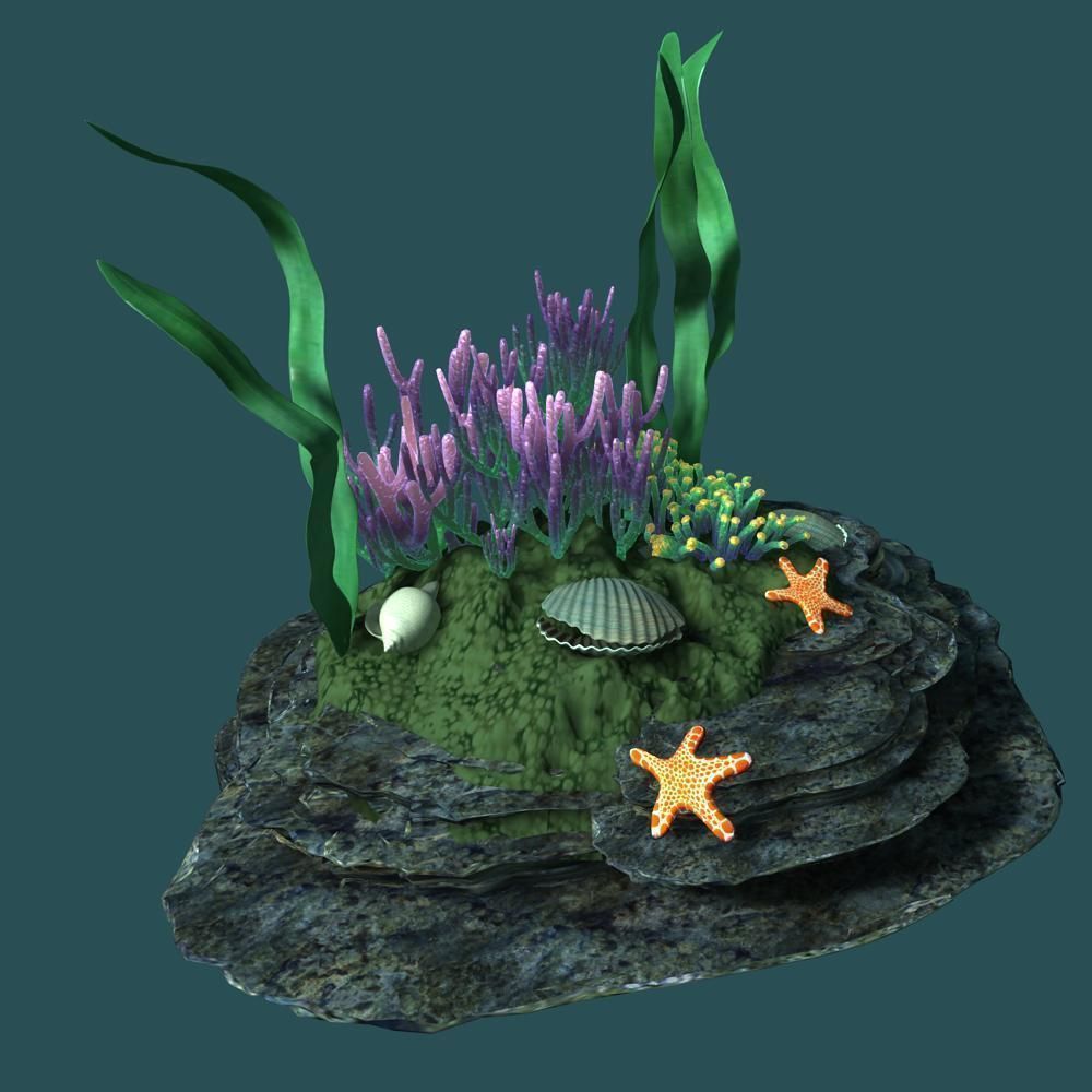 Coral rock with seaweed and starfish 3D model_3