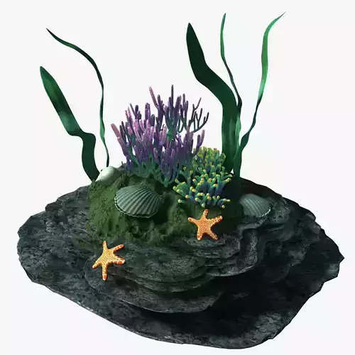 Coral rock with seaweed and starfish