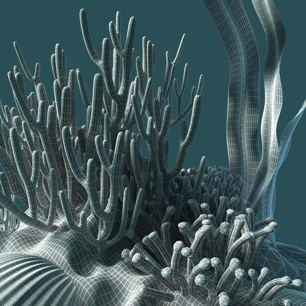 Coral rock with seaweed and starfish 3D model_11