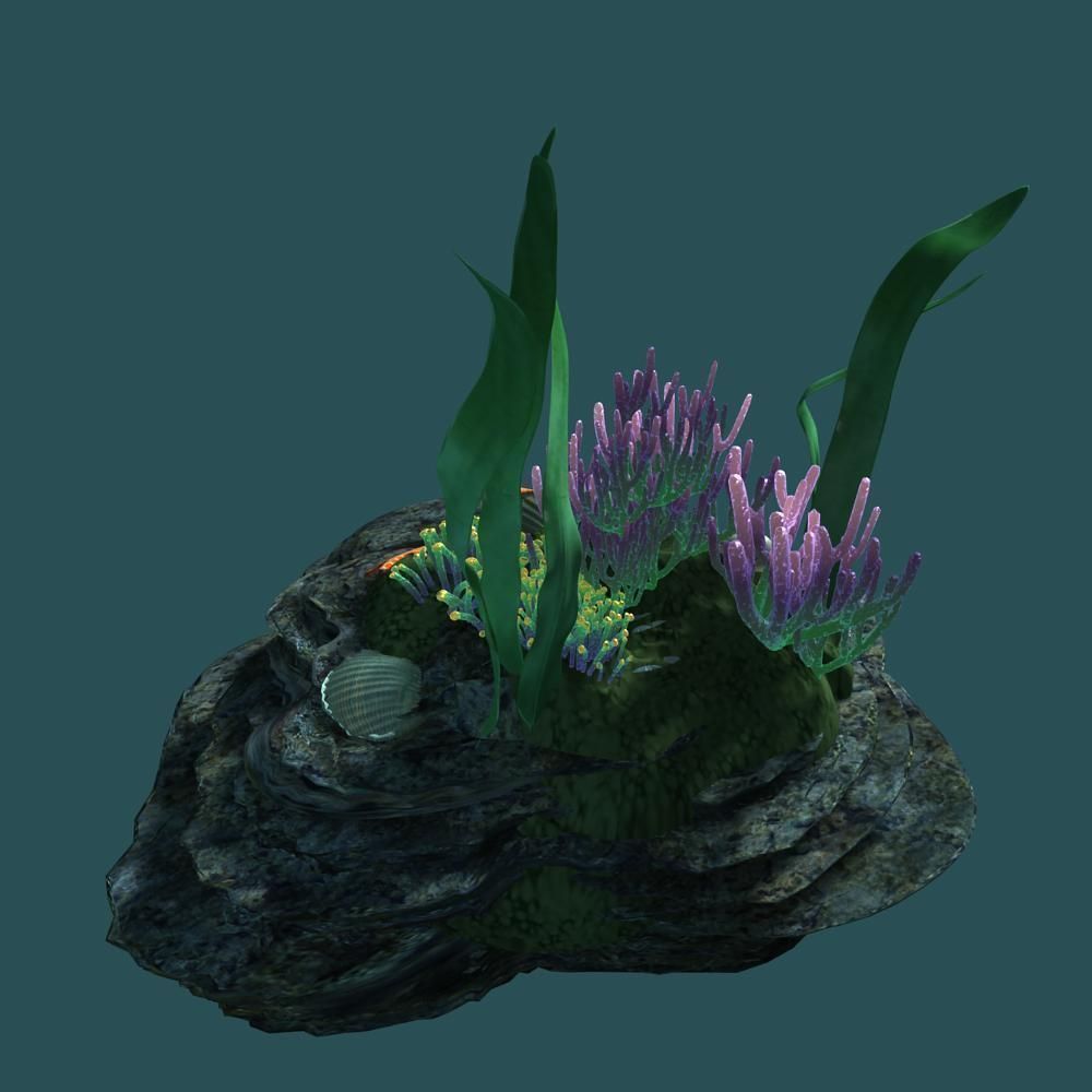 Coral rock with seaweed and starfish 3D model_1