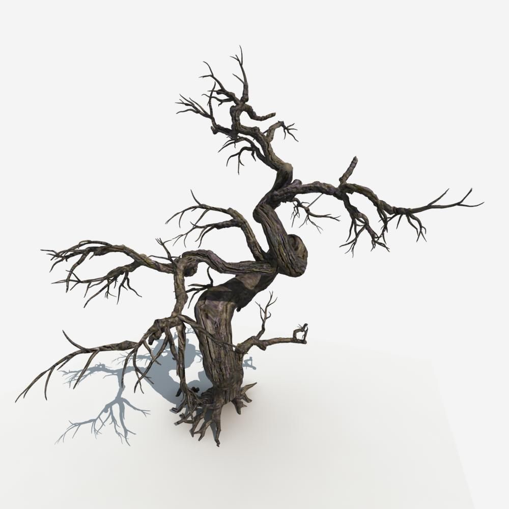 Dry Tree 05 3D model_4