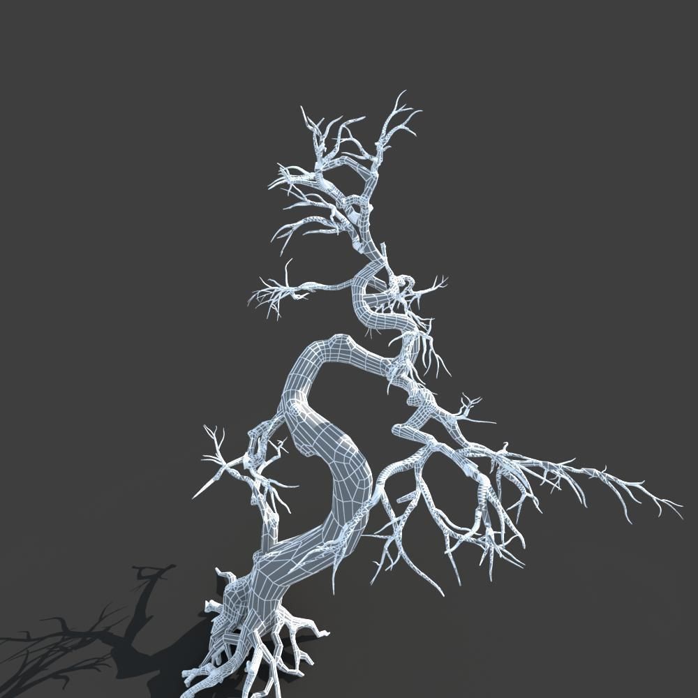 Dry Tree 05 3D model_10
