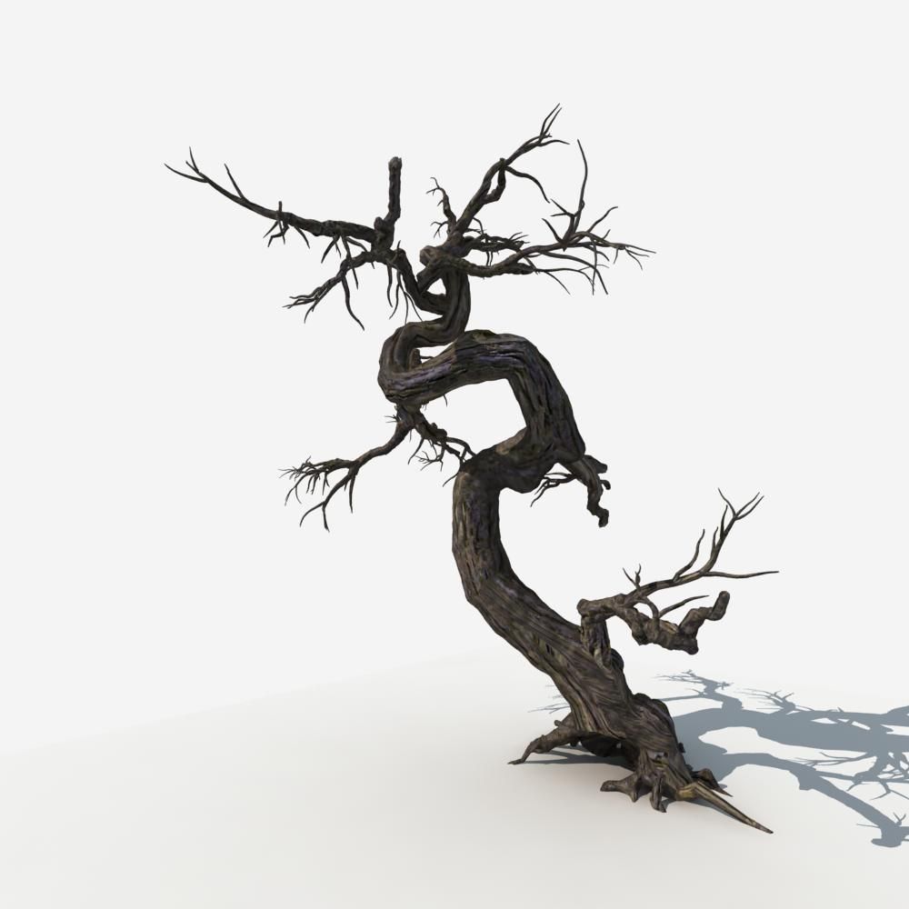 Dry Tree 05 3D model_7