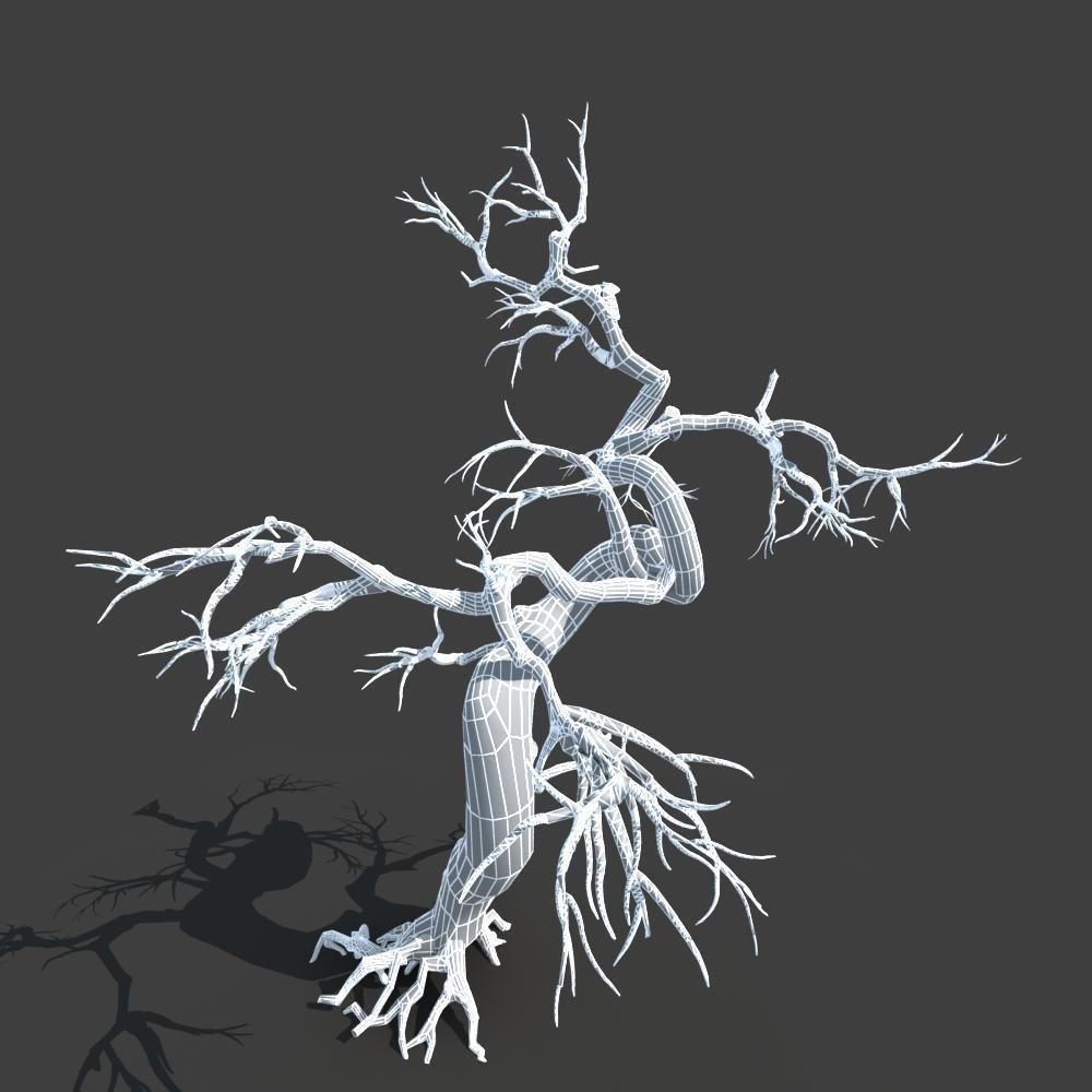 Dry Tree 05 3D model_9