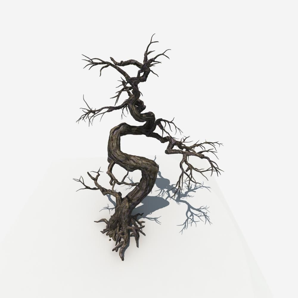 Dry Tree 05 3D model_1