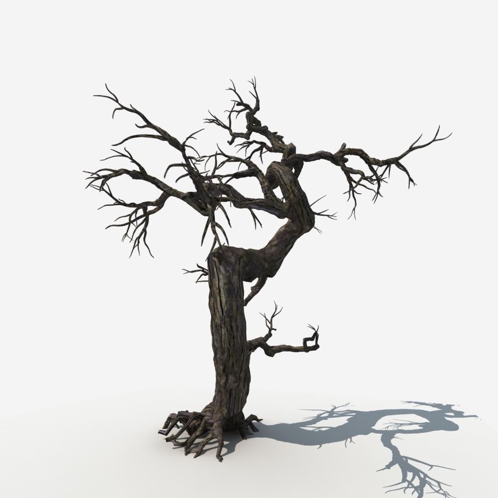Dry Tree 05 3D model_8