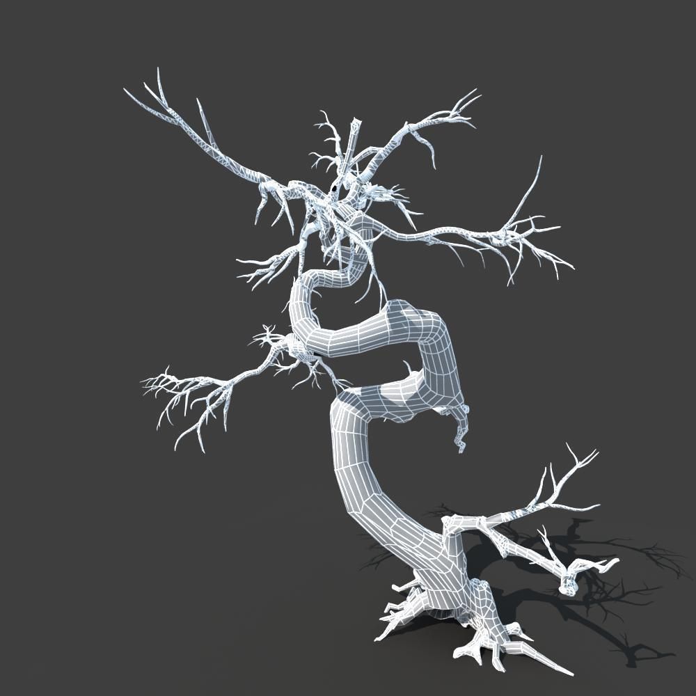 Dry Tree 05 3D model_11