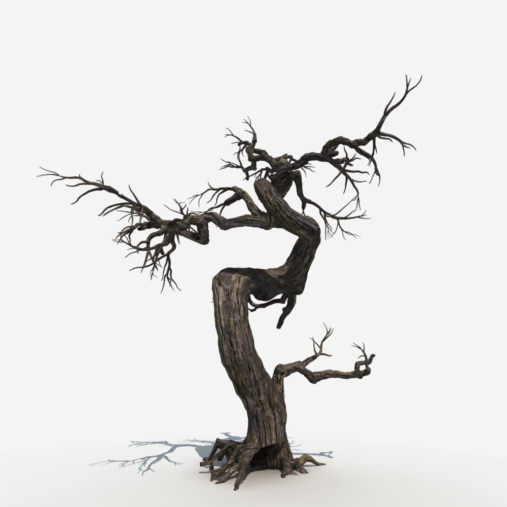 Dry Tree 05 3D model_6