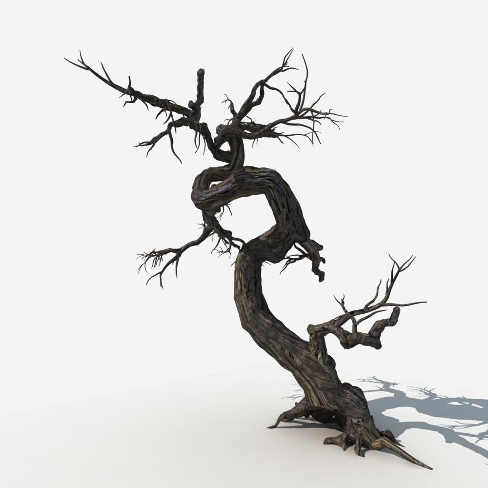 Dry Tree 05 3D model_5
