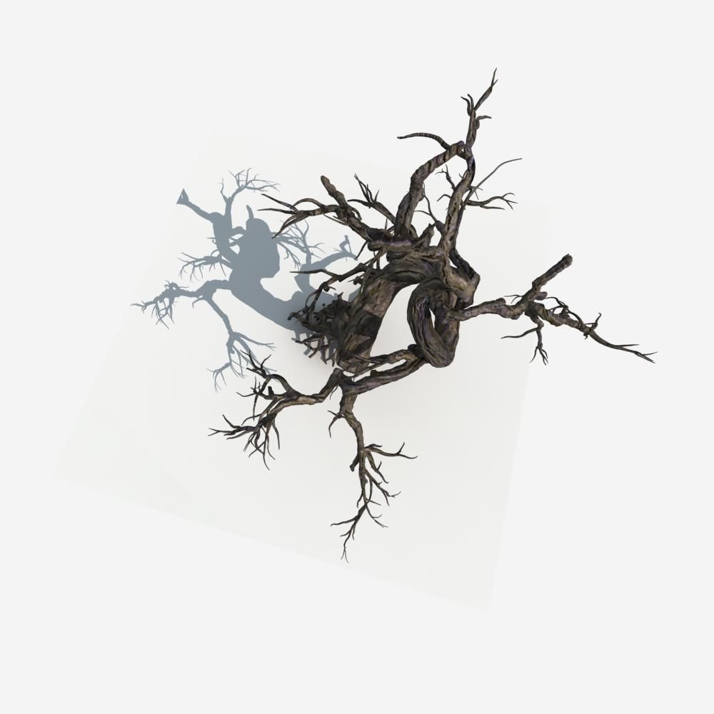 Dry Tree 05 3D model_3