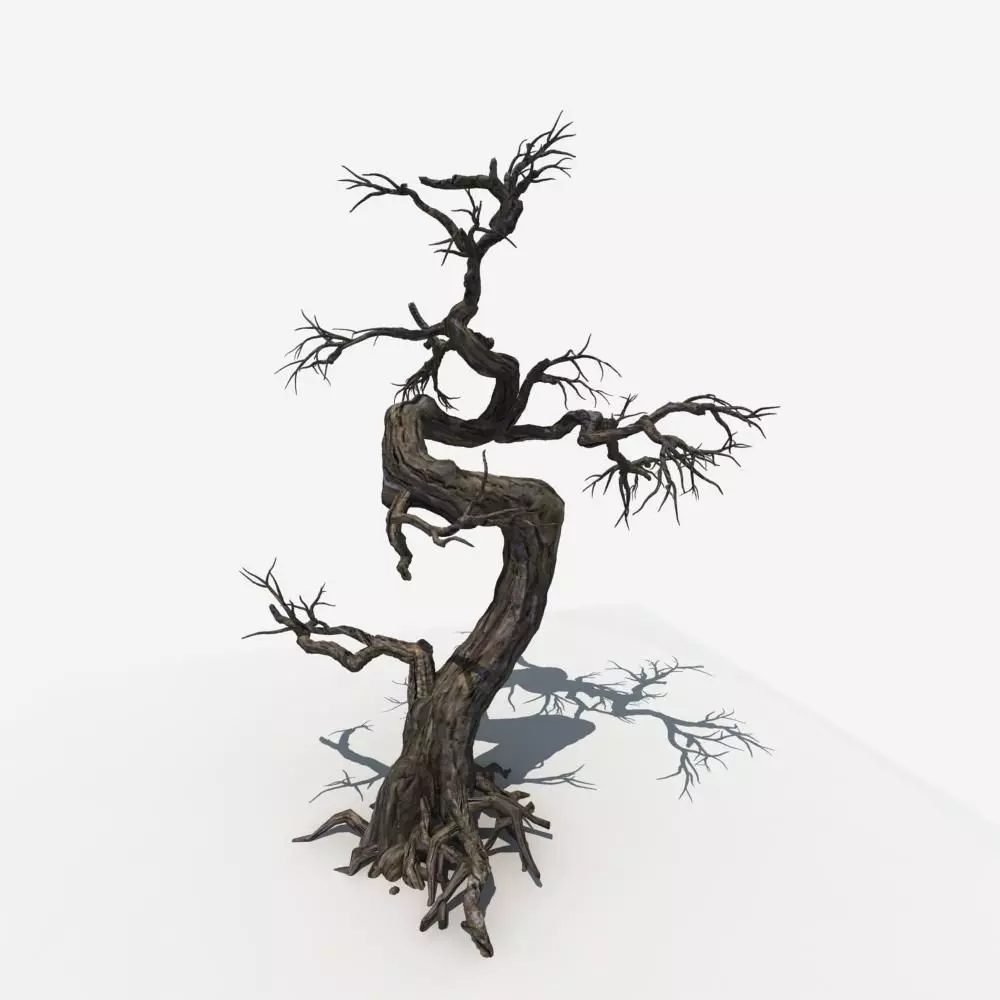 Dry Tree 05 3D model_0