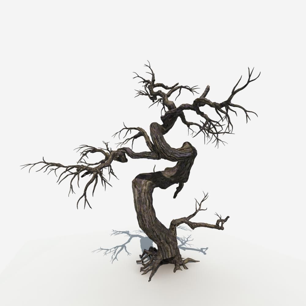 Dry Tree 05 3D model_2
