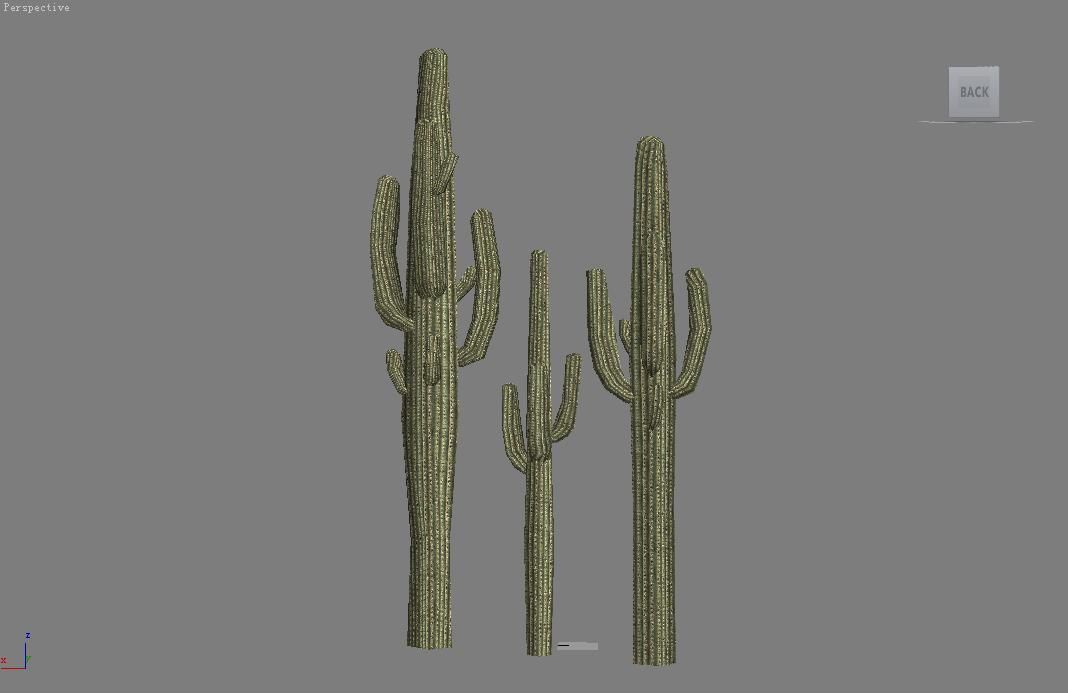 Cactus Low-poly 3D model_2
