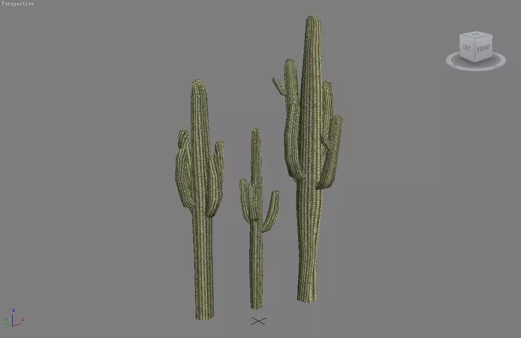 Cactus Low-poly 3D model_0
