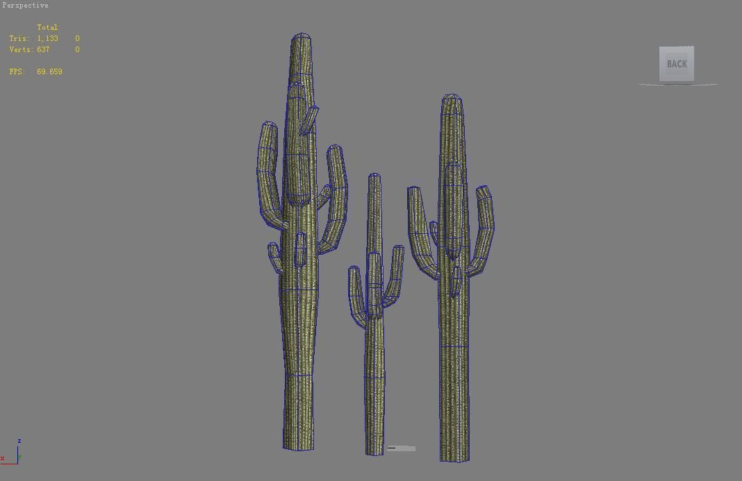 Cactus Low-poly 3D model_1