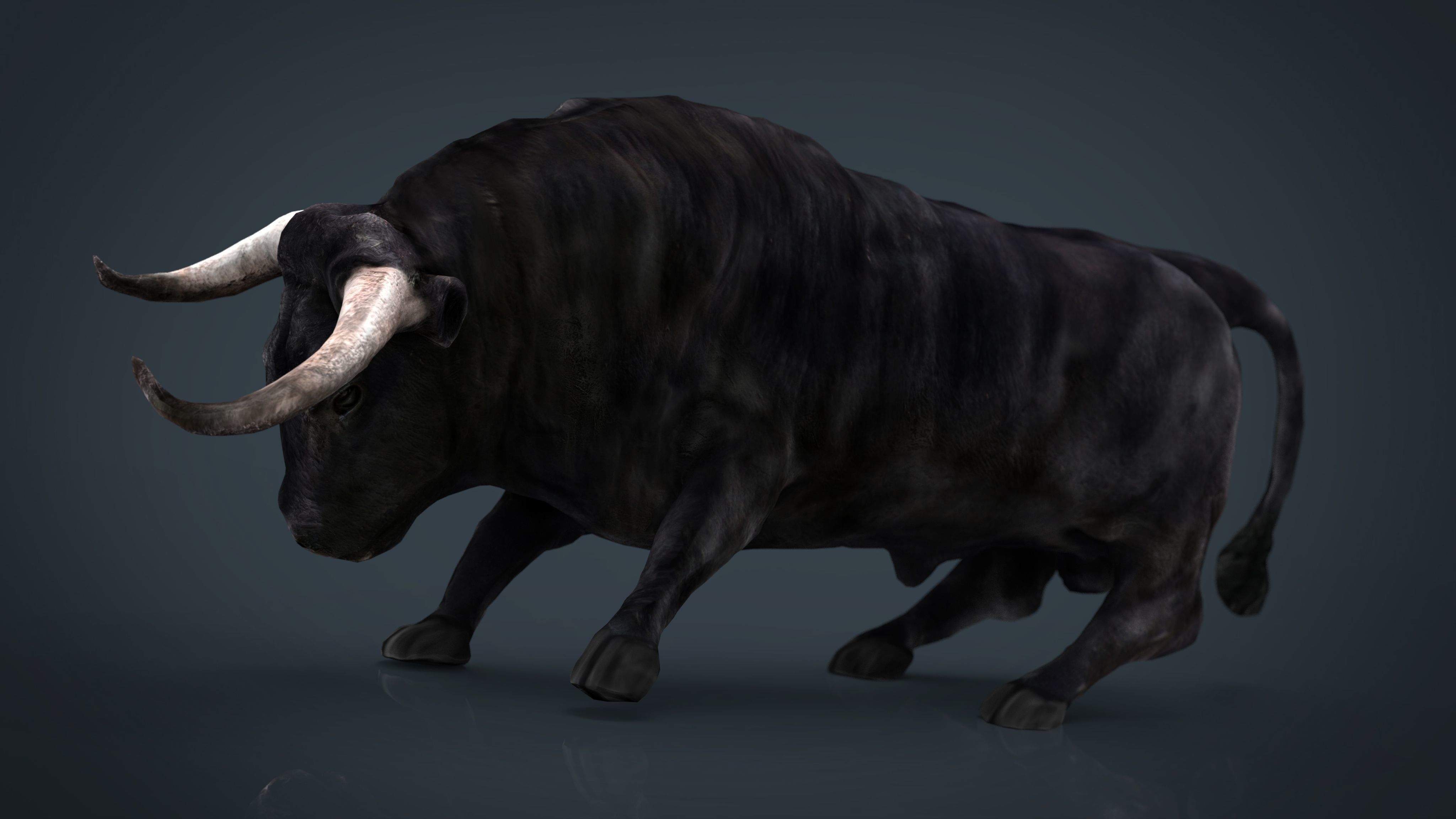Spanish Bull Low-poly 3D model_12