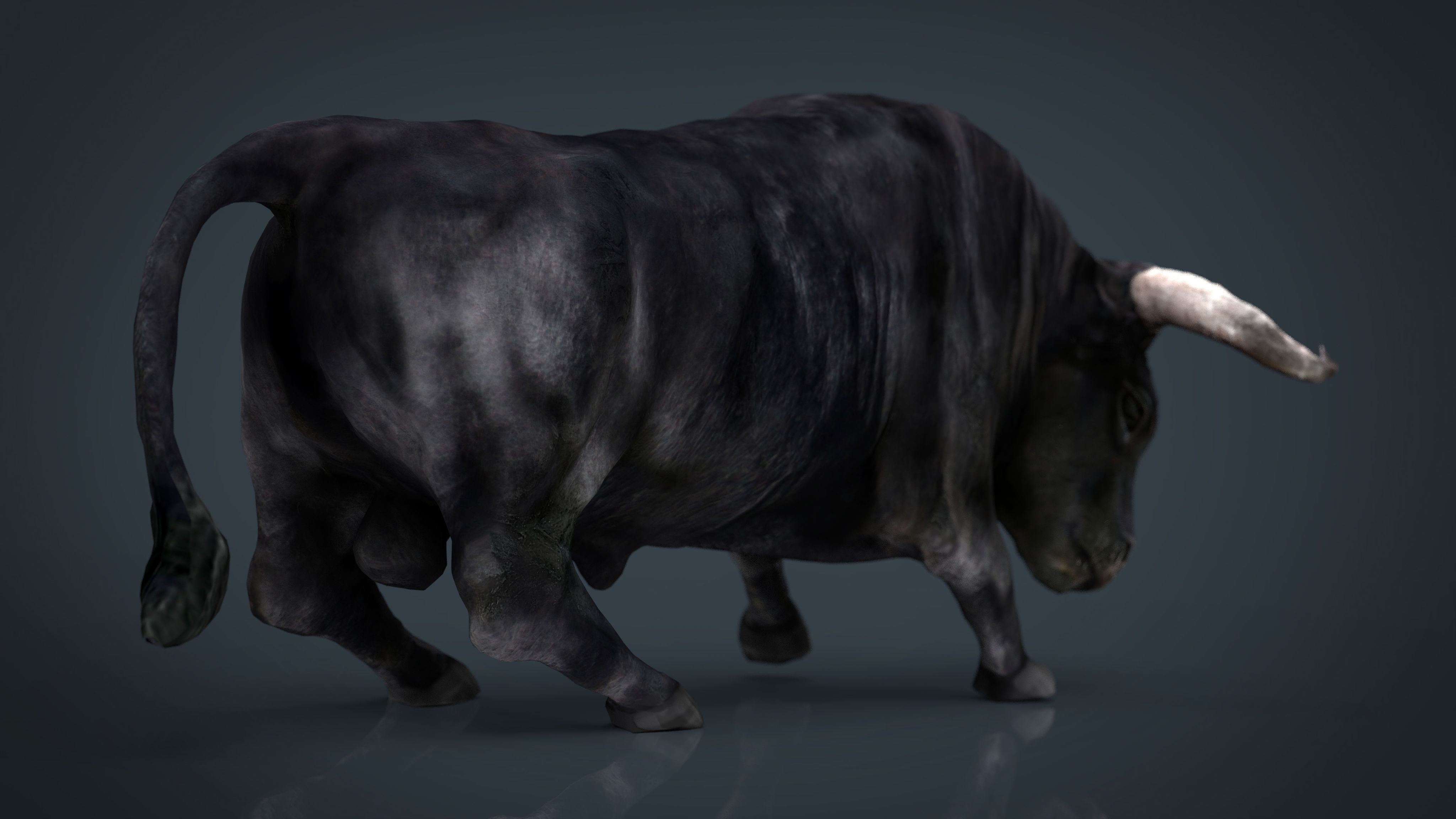 Spanish Bull Low-poly 3D model_11
