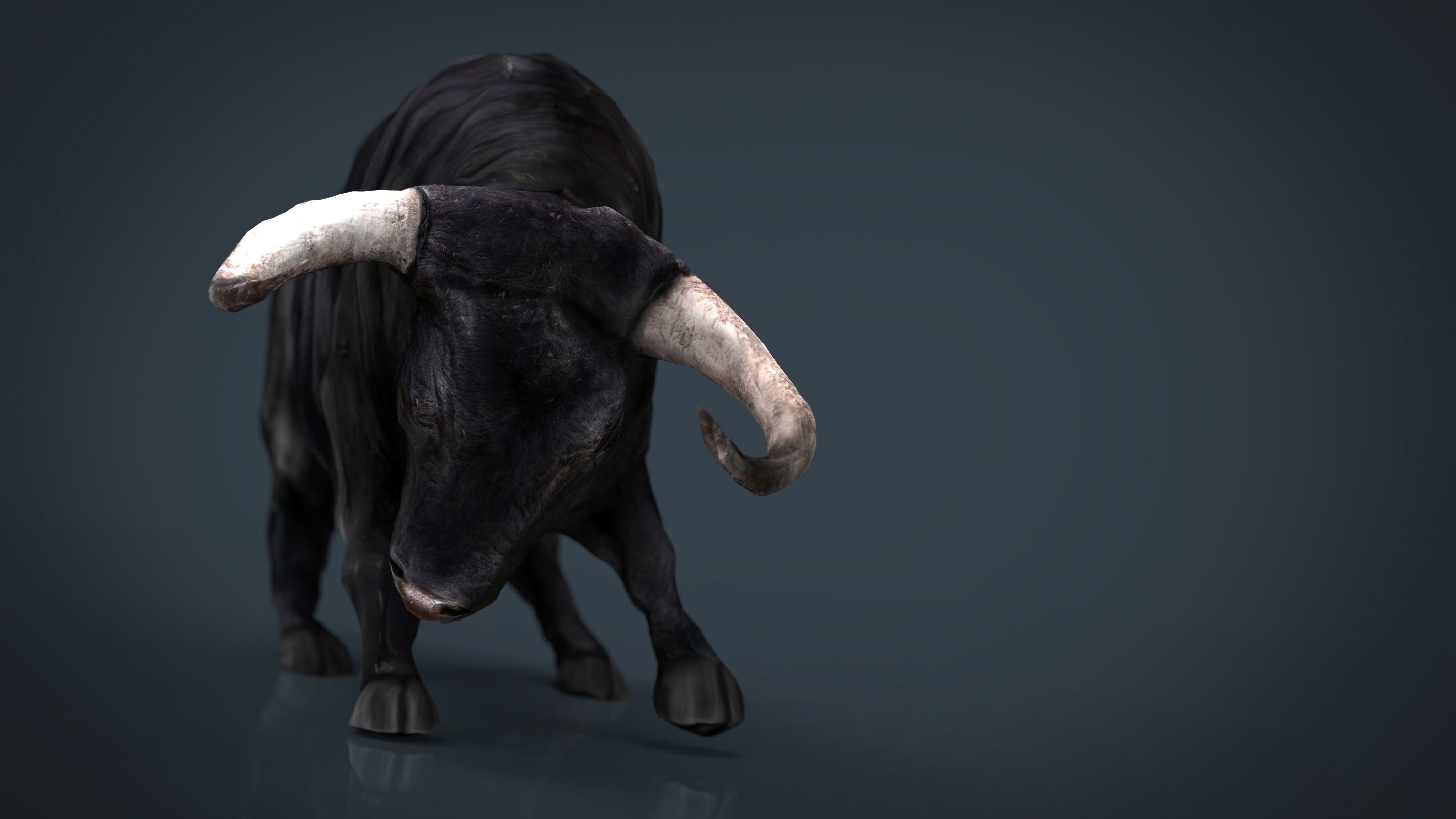 Spanish Bull Low-poly 3D model_10