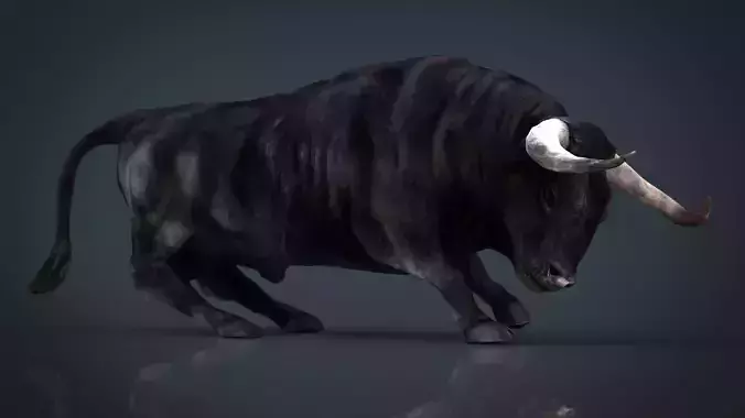 Spanish Bull Low-poly 3D model