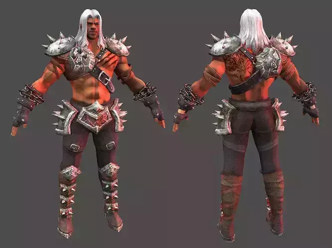 Barbarian 2 character in armor