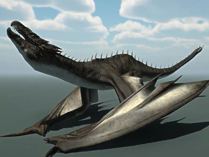 Dragon flying in sky Low-poly 3D model_5