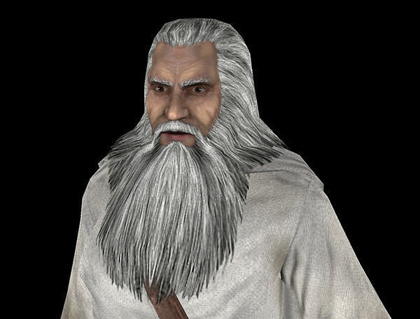 Fantasy Wizzard Low-poly 3D model