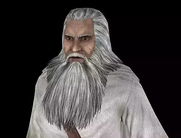 Fantasy Wizzard Low-poly 3D model