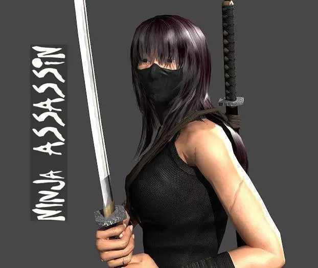 Ninja Assassin Low-poly 3D model_10