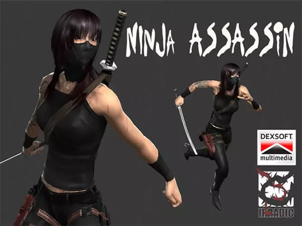 Ninja Assassin Low-poly 3D model_12