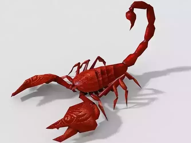 Scorpio scorpion Low-poly 3D model