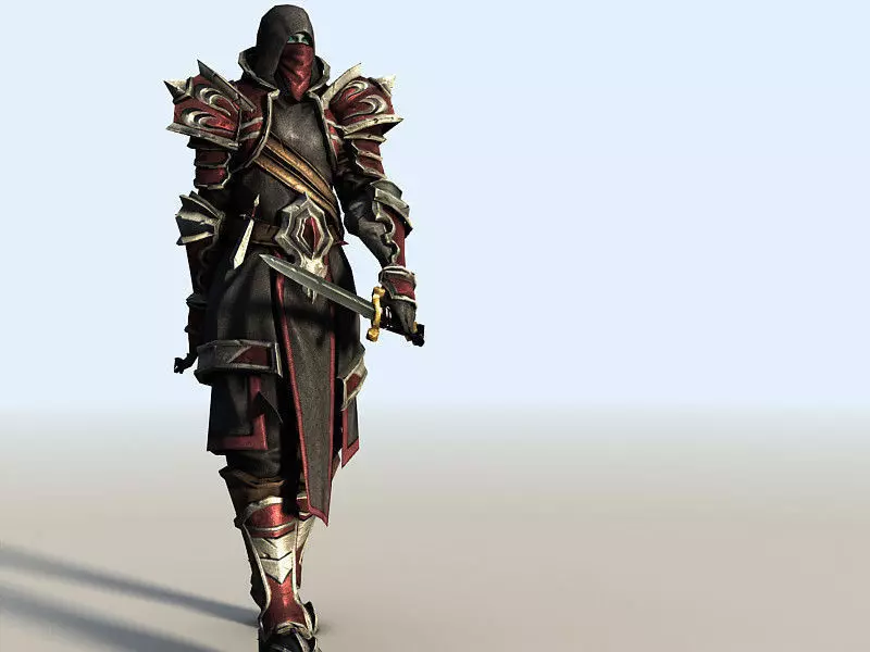 Thief 2 character in armor and holding sword Low-poly 3D model_0