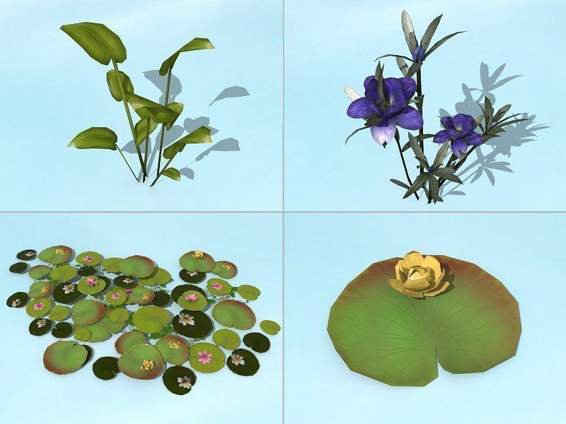 Water Plants Low-poly 3D model_10