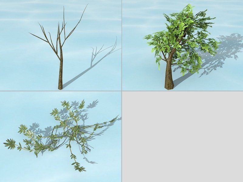 Water Plants Low-poly 3D model_5