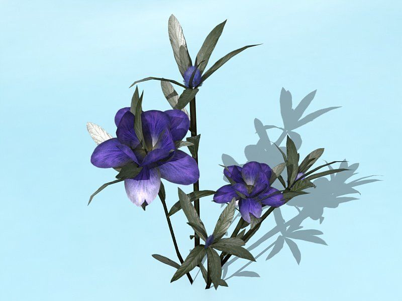 Water Plants Low-poly 3D model_6