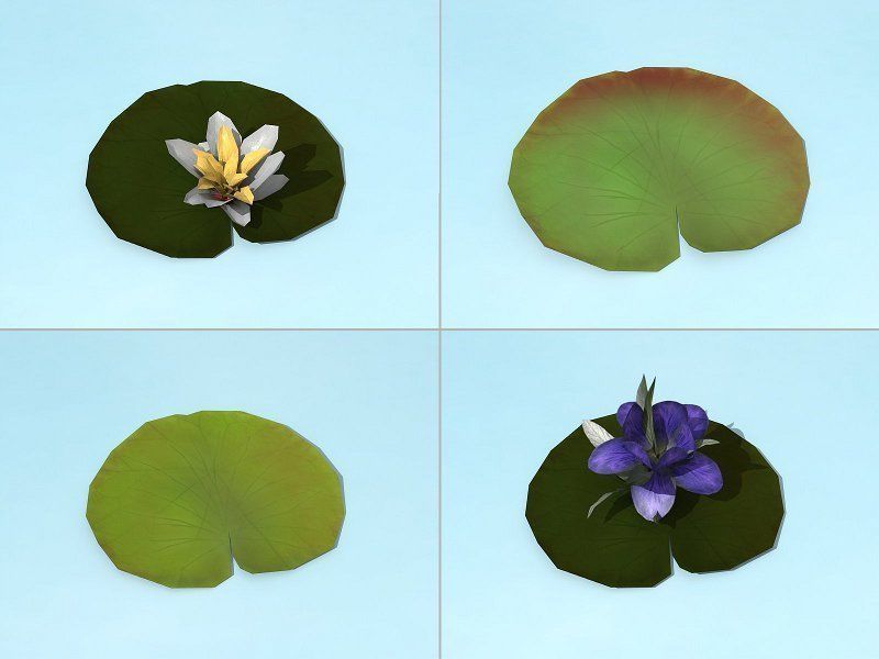 Water Plants Low-poly 3D model_13